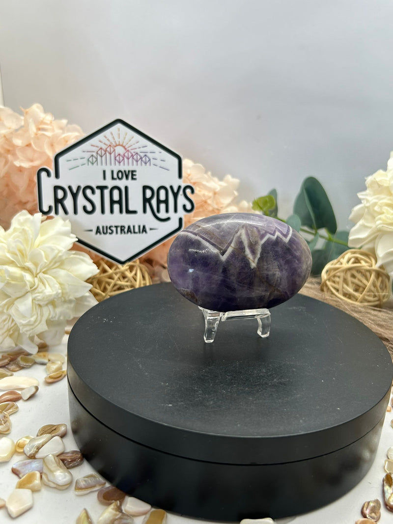 Dream Amethyst Palm