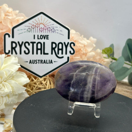 Dream Amethyst Palm