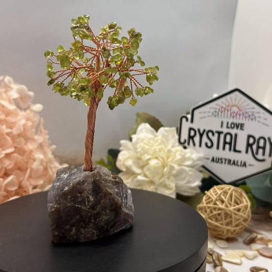 Peridot chip tree + Raw Amethyst base
