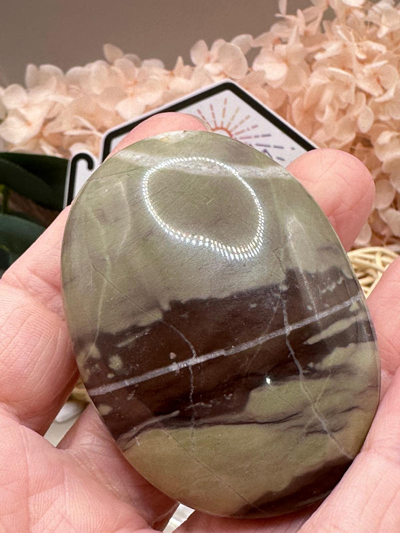 Liver Jasper Palm