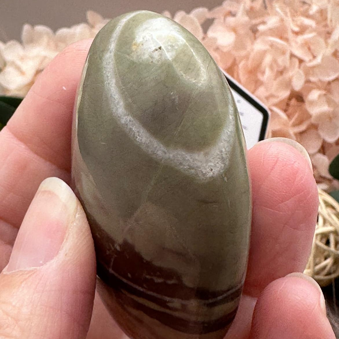 Liver Jasper Palm