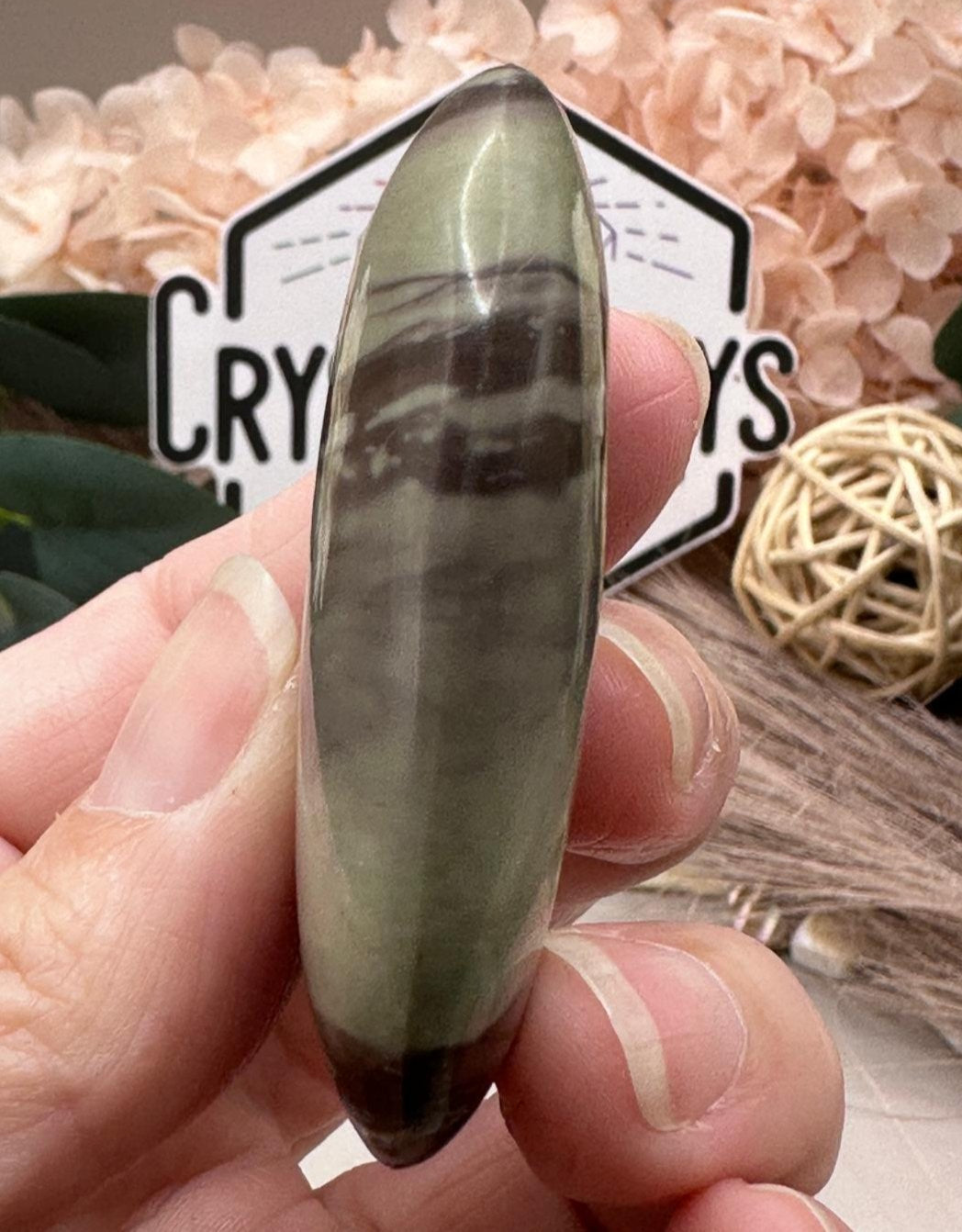 Liver Jasper Palm