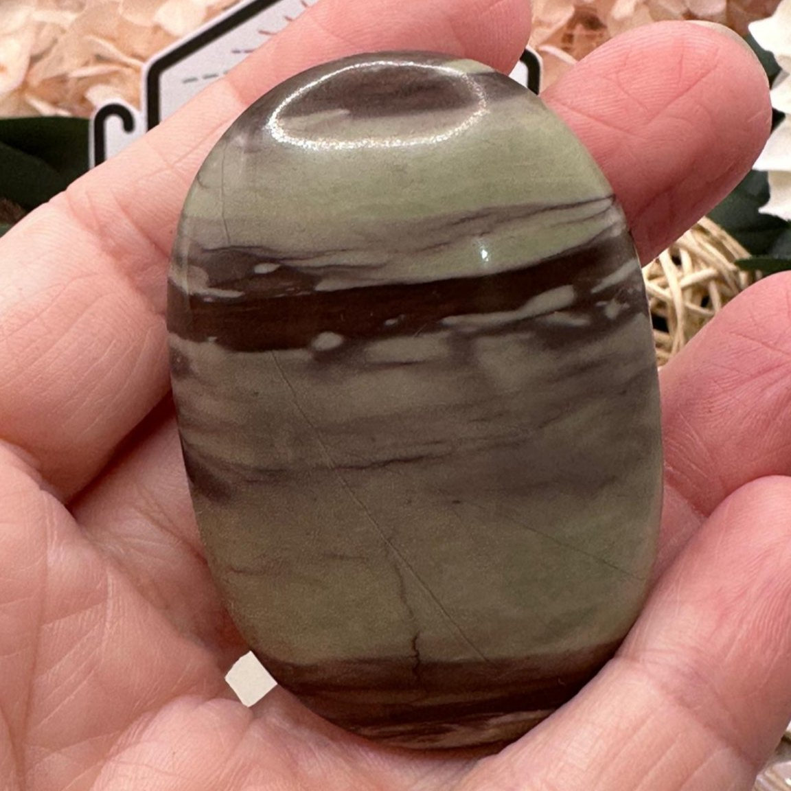 Liver Jasper Palm