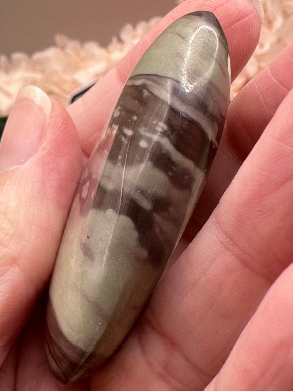 Liver Jasper Palm
