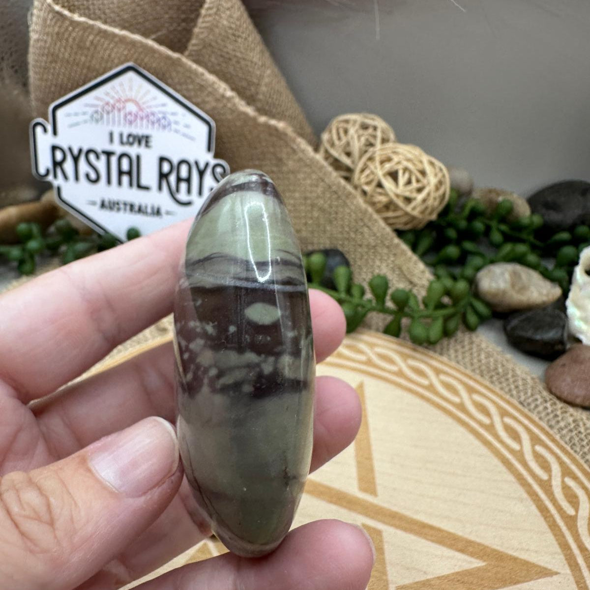Liver Jasper Palm