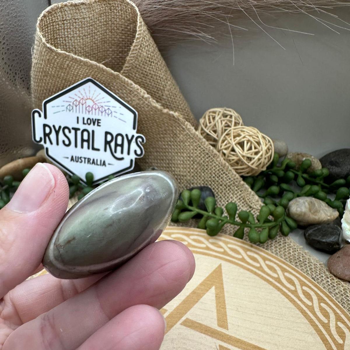 Liver Jasper Palm