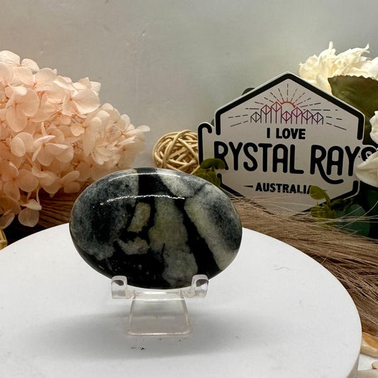Shell Jasper Palm