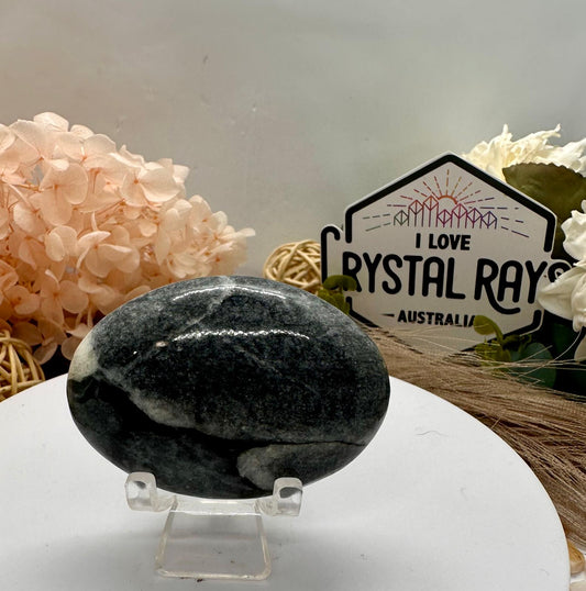 Shell Jasper Palm