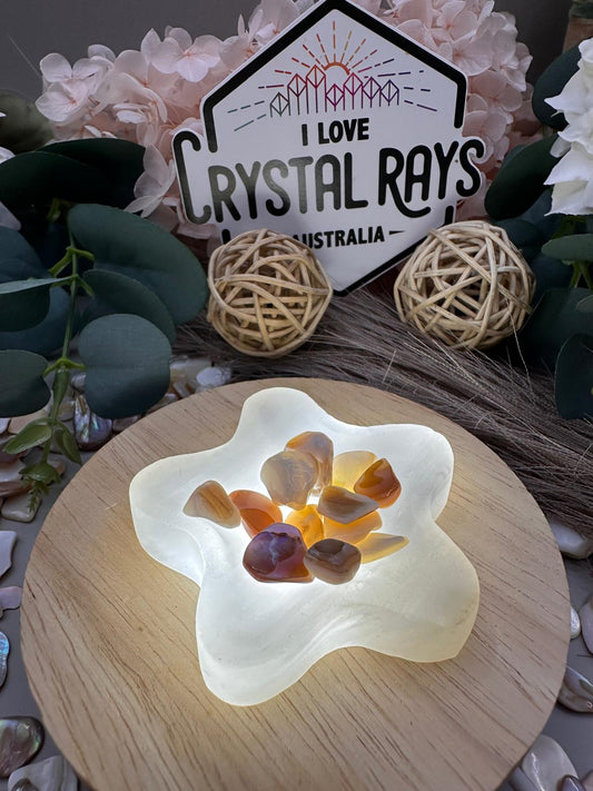 Selenite Star Bowl Carving 55g