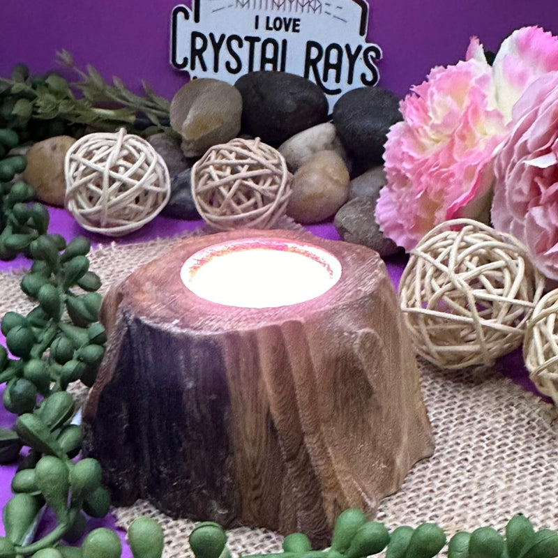 Wooden Tree Stump Stand - Colour changing Light.