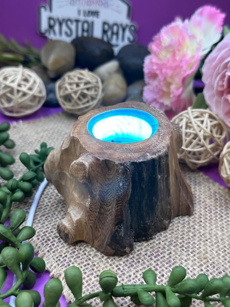 Wooden Tree Stump Stand - Colour changing Light.