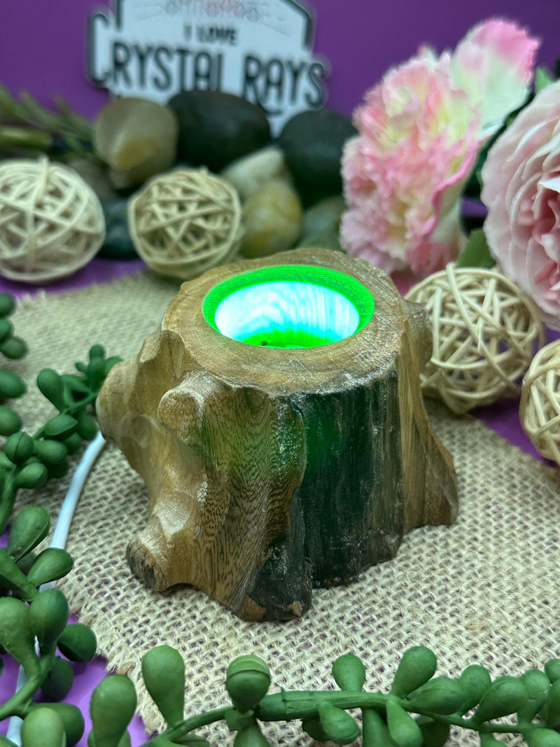 Wooden Tree Stump Stand - Colour changing Light.