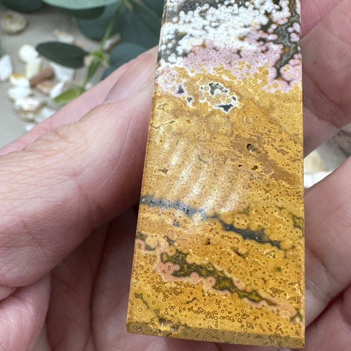 Ocean Jasper Tower