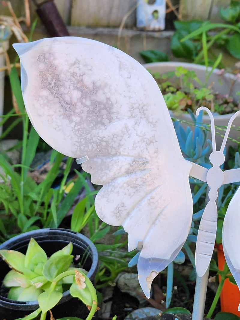 Pink Amethyst Butterfly Wings