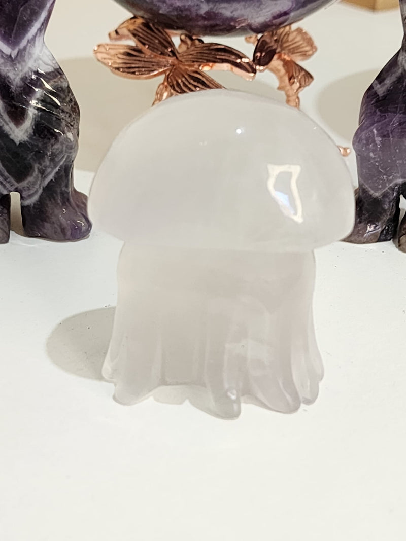 Fluorite Jelly Fish