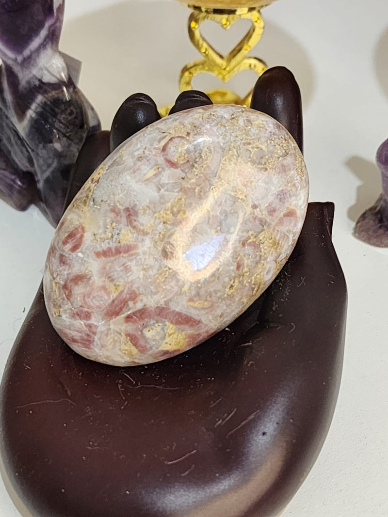 Strawberry Jasper Palm