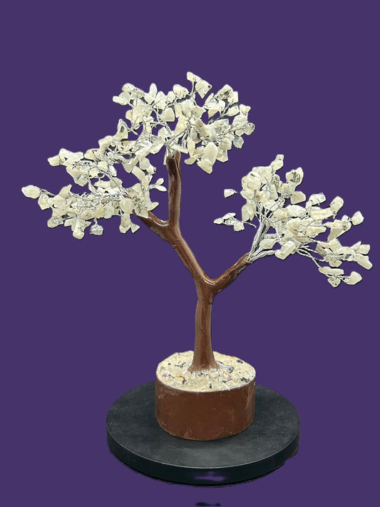Rainbow Moonstone Crystal chip Tree Large
