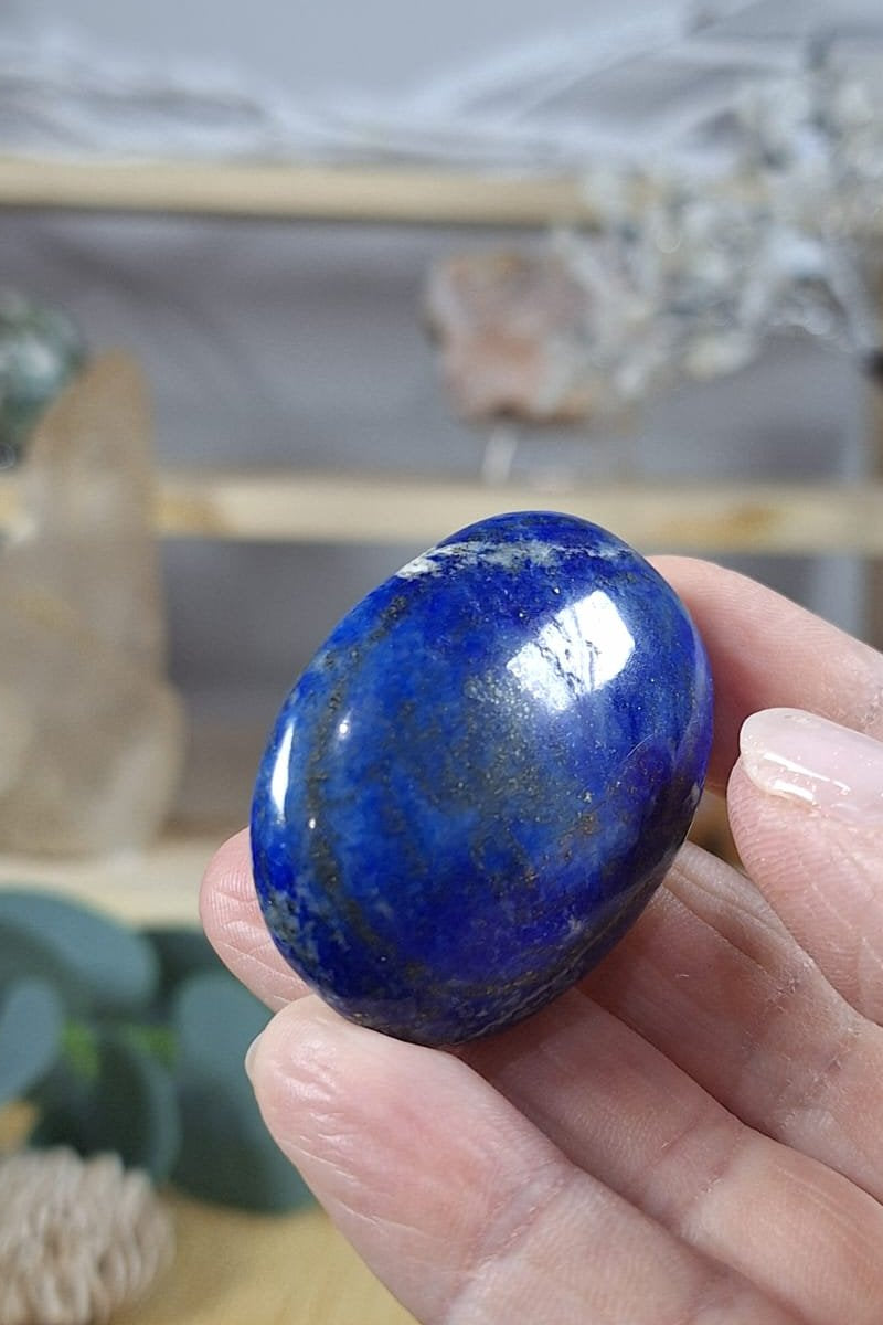 Lapis Lazuli Palm 