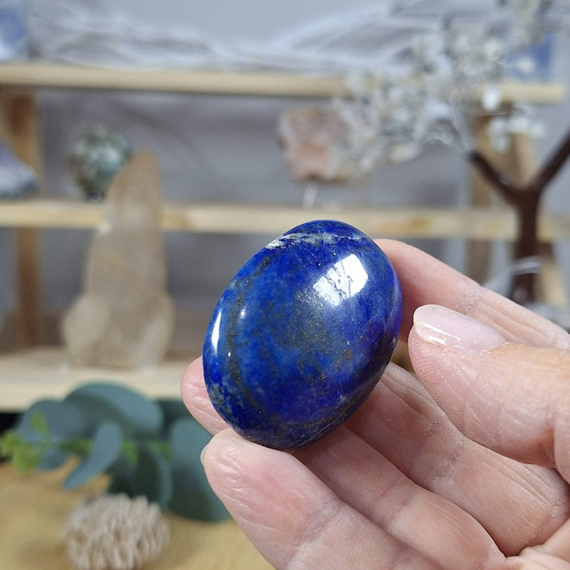 Lapis Lazuli Palm 