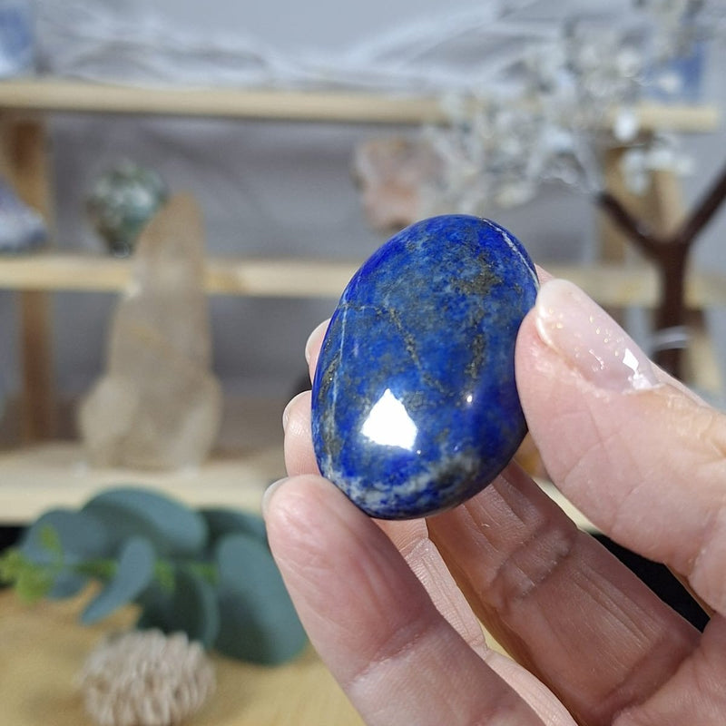 Lapis Lazuli Palm 