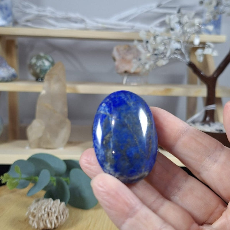 Lapis Lazuli Palm 