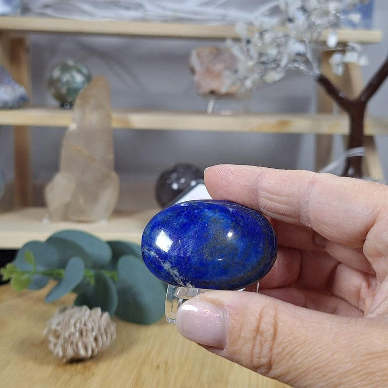 Lapis Lazuli Palm 