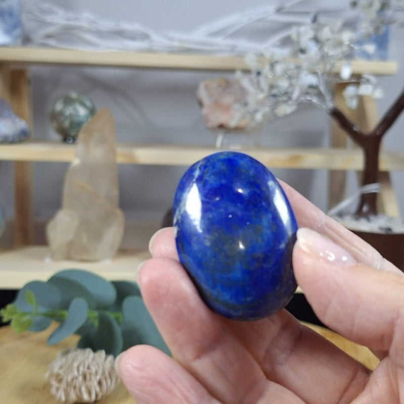 Lapis Lazuli Palm 