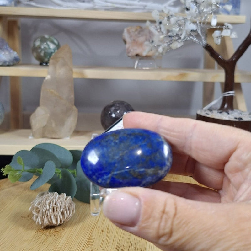 Lapis Lazuli Palm 