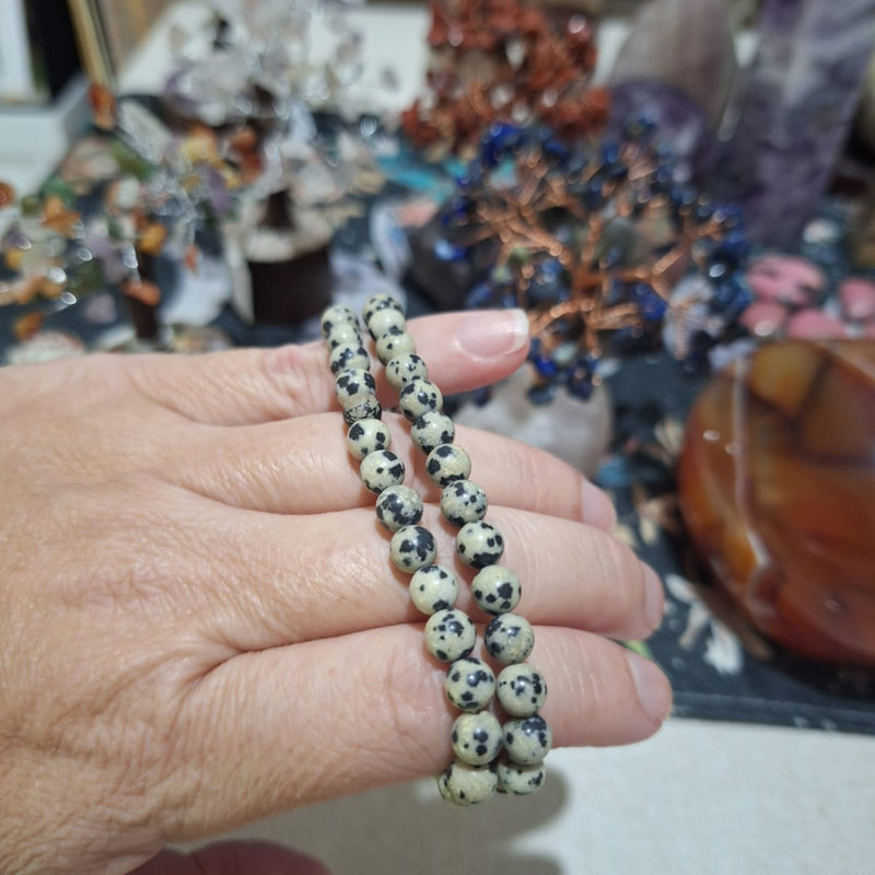 Dalmation Jasper Bracelet 6mm