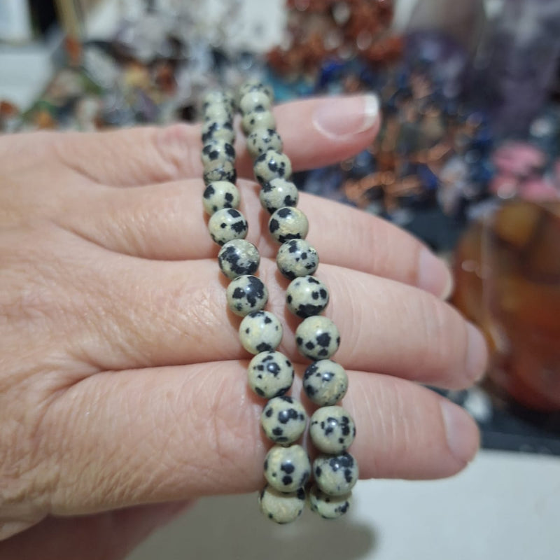 Dalmation Jasper Bracelet 6mm