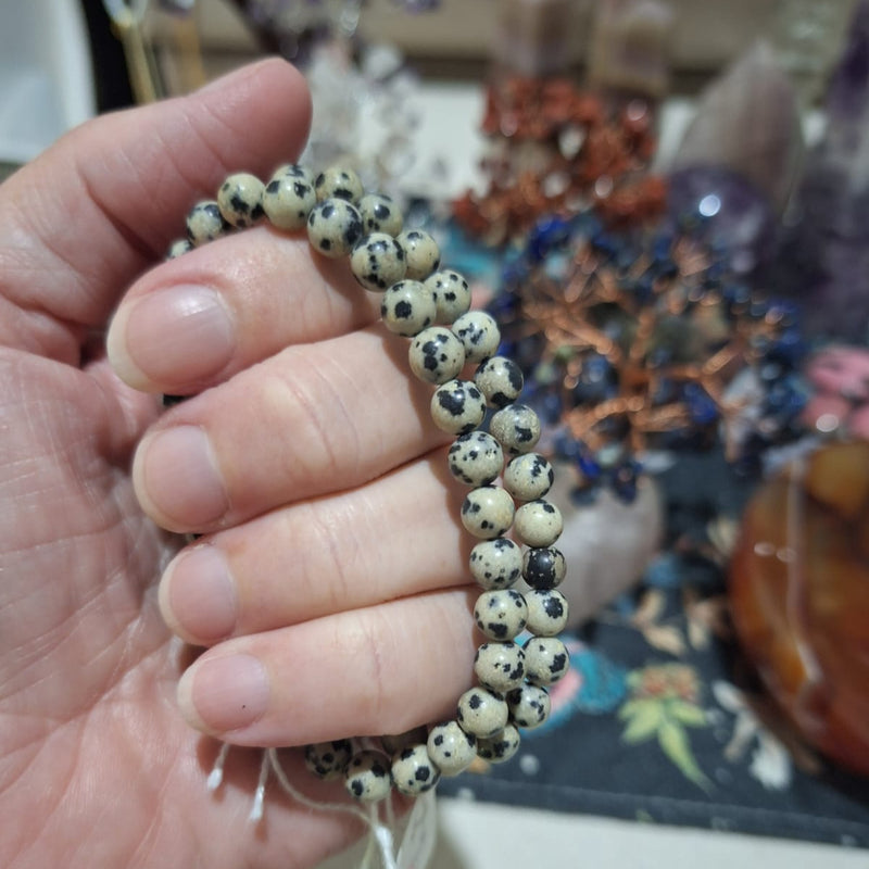 Dalmation Jasper Bracelet 6mm