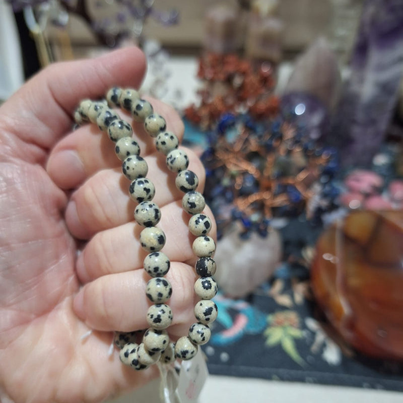 Dalmation Jasper Bracelet 6mm