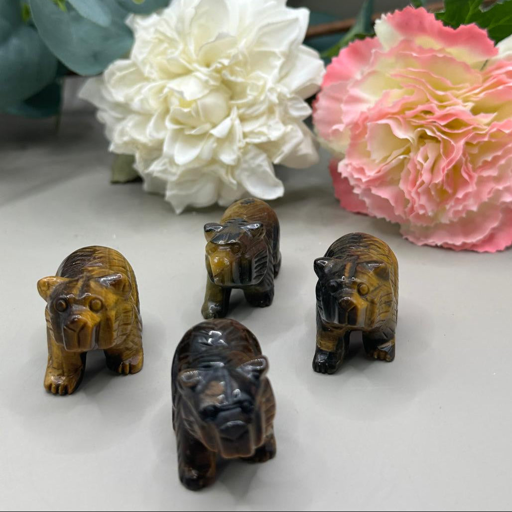 Tigers eye
