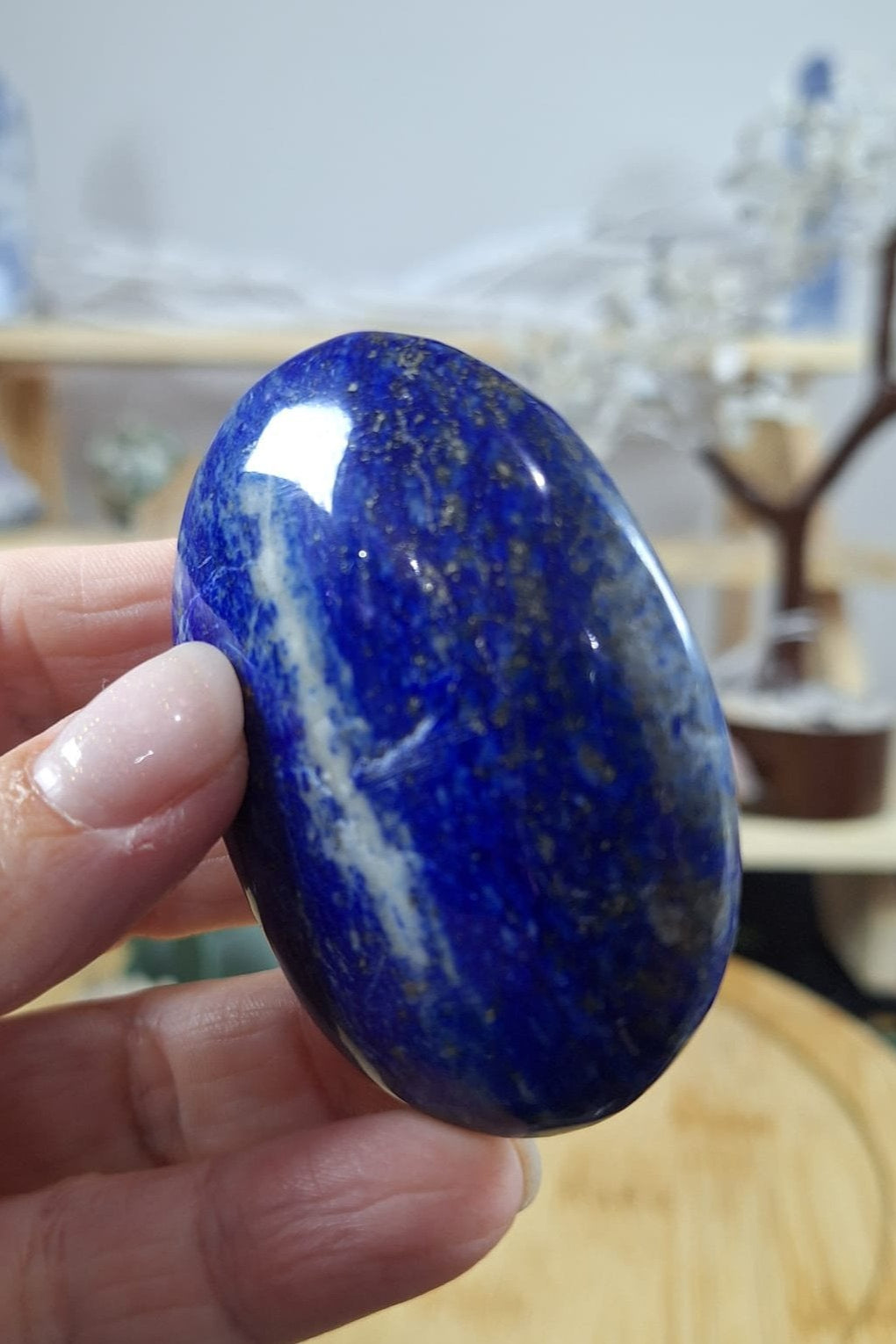 Lapis Lazuli Palm 