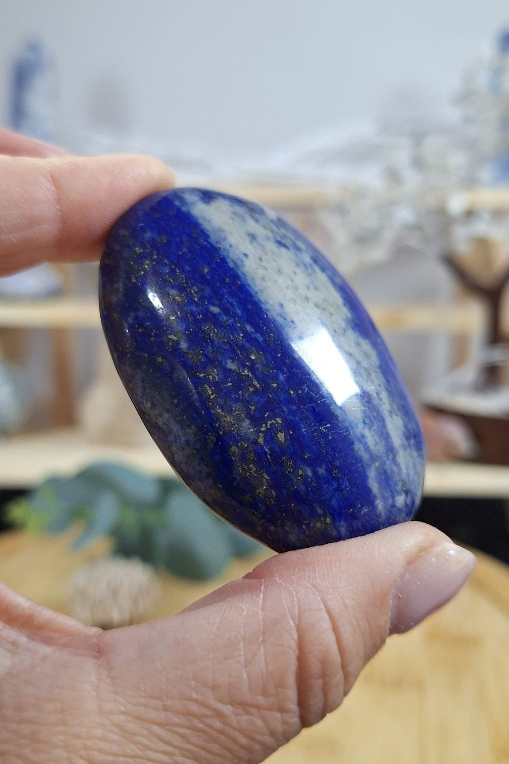 Lapis Lazuli Palm 