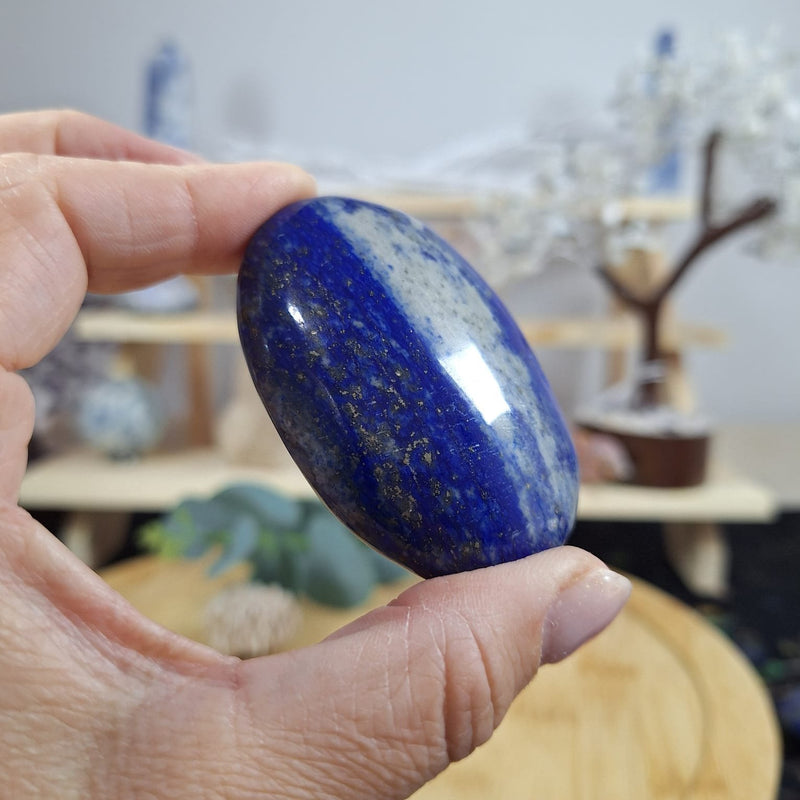 Lapis Lazuli Palm 