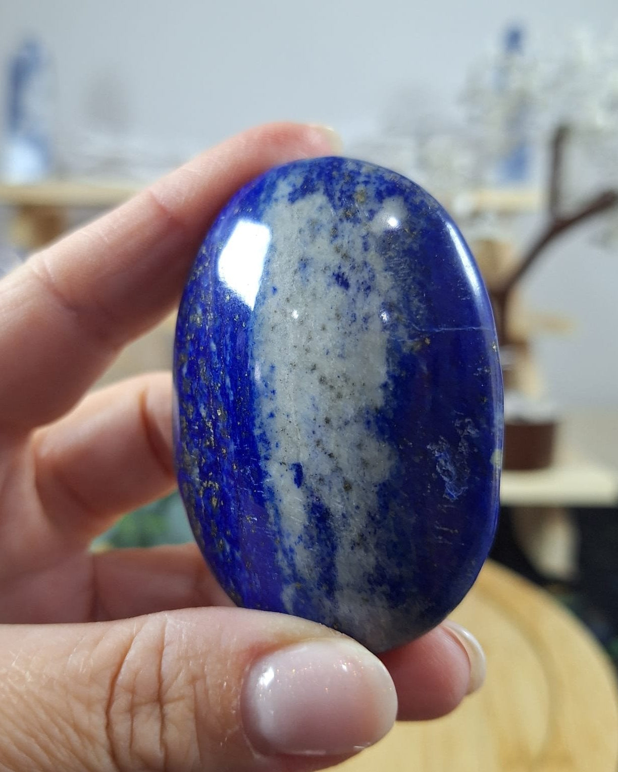 Lapis Lazuli Palm 
