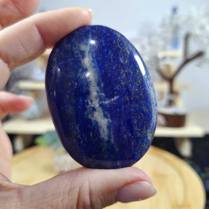 Lapis Lazuli Palm 