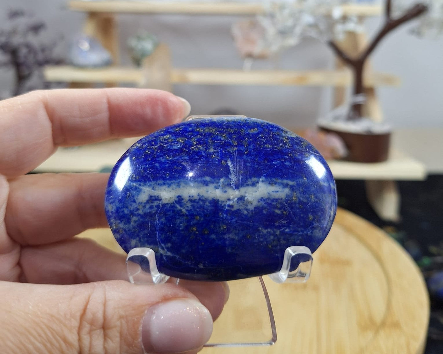 Lapis Lazuli Palm 