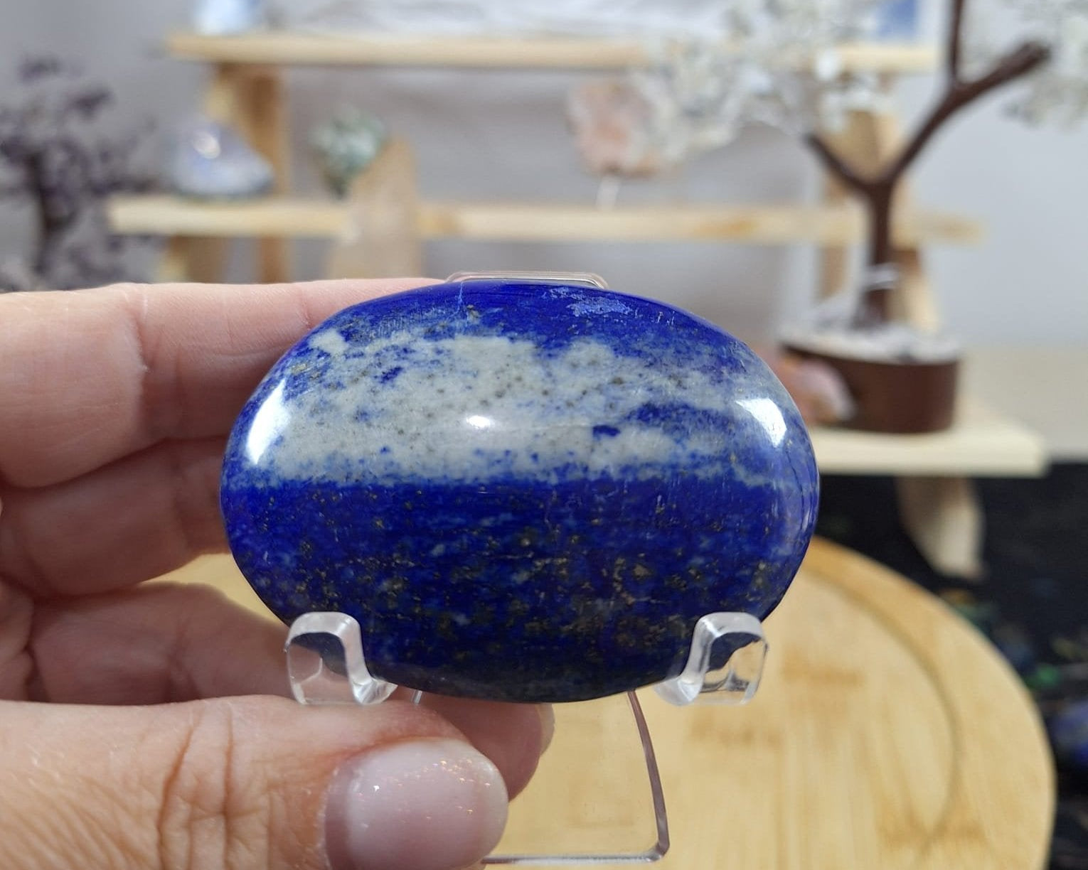 Lapis Lazuli Palm 