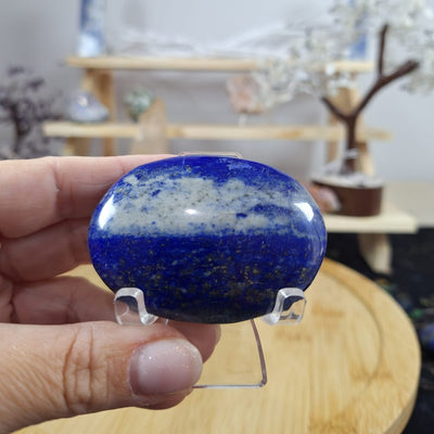 Lapis Lazuli Palm 