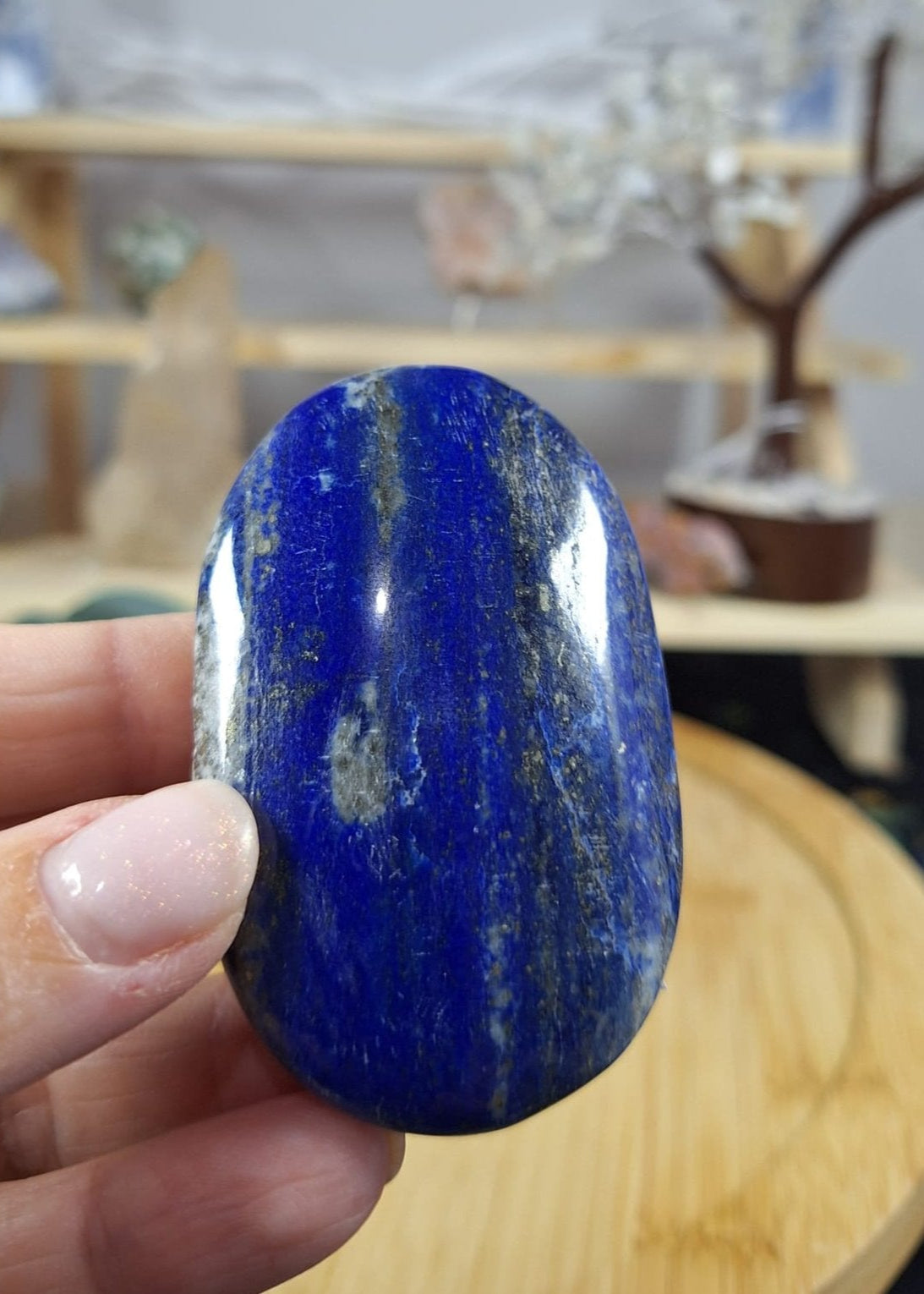 Lapis Lazuli Palm 