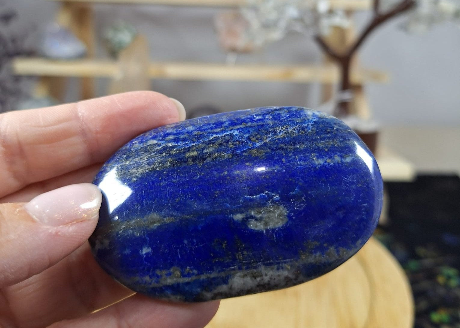 Lapis Lazuli Palm 