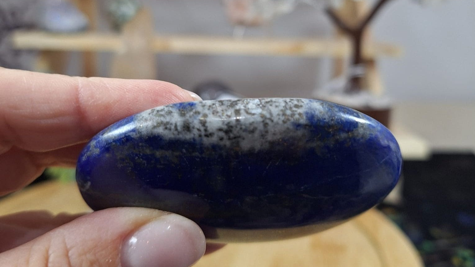 Lapis Lazuli Palm 