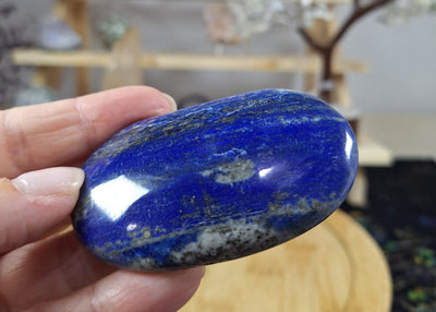 Lapis Lazuli Palm 