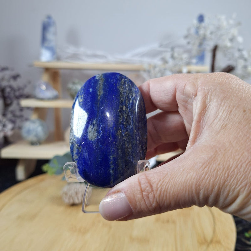 Lapis Lazuli Palm 