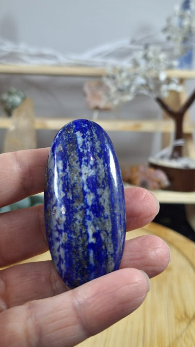 Lapis Lazuli Palm 