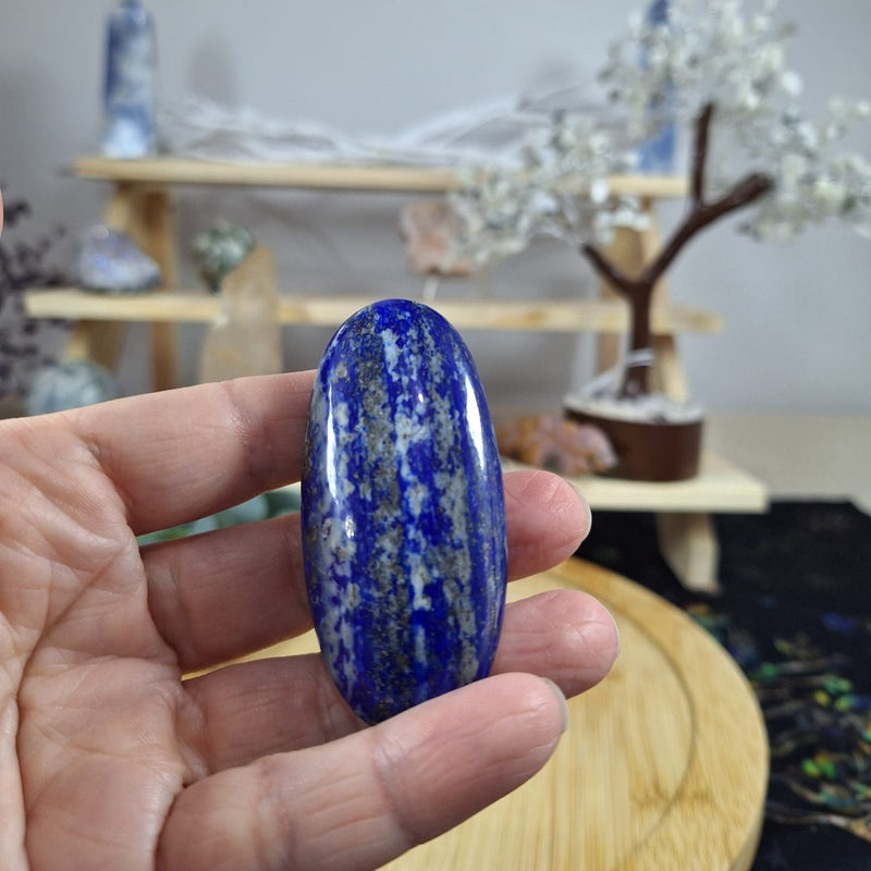 Lapis Lazuli Palm 