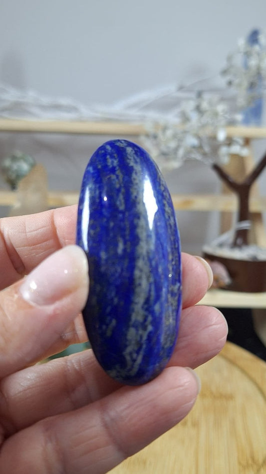 Lapis Lazuli Palm 