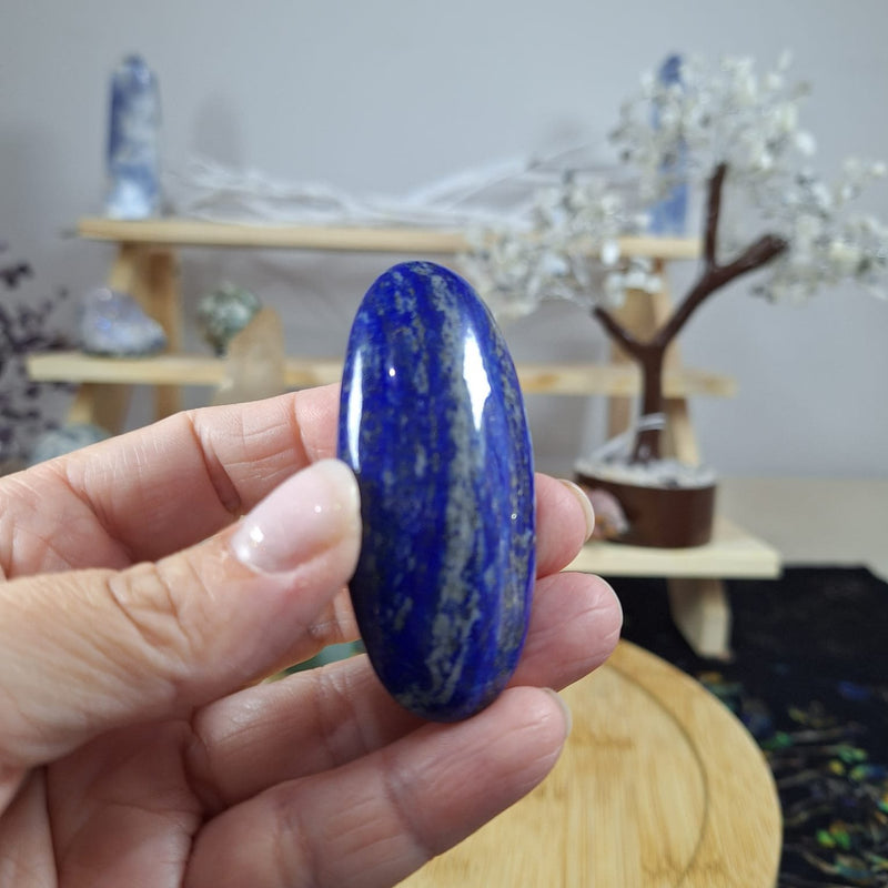 Lapis Lazuli Palm 